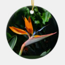 Search for paradise holiday accents ornaments