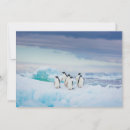 Search for penguin thank you cards Snow