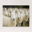 Search for farm puzzles Livestock