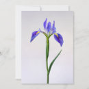 Search for flowers cards Blossom
