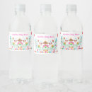 Search for cinco de mayo baby shower Mexican