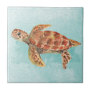 Search for sea turtle tiles Teal