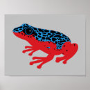 Search for rainforest posters Central america