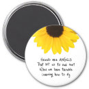 Search for angel magnets quote