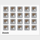 Search for cardboard labels White