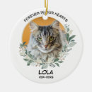 Search for photo pet memorials Cat memorial