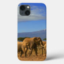 Search for elephant electronics African