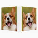 Search for dog binders Pets