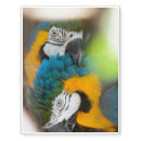 Search for blue temporary tattoos Wildlife