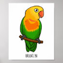 Search for lovebird posters Parakeet