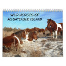 Search for horse calendars Ponies