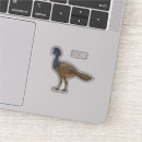 Search for samsung galaxy s10 cases Bird