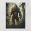 Search for bigfoot postcards Forest