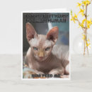 Search for funny cat sayings cards Cool