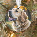 Search for pet loss ornaments In loving memory