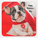 Search for french bulldog stickers Red