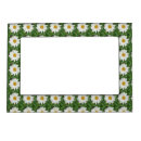 Search for daisy picture frames Flowers