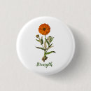 Search for marigold gifts Botanical