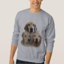 Search for golden retriever hoodies Goldens
