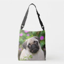 Search for pug bags Funny