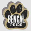 Search for bronze magnets School
