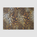 Search for cheetah tissue paper Big cat