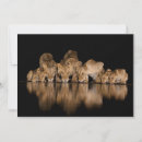 Search for africa thank you cards Animal