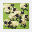 Search for funny sheep Animals