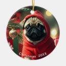 Search for pug ornaments Pets