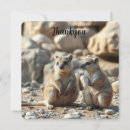 Search for quokka cards Wildlife