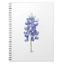 Search for texas bluebonnet gifts Texan