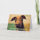 Search for doberman birthday cards Funny