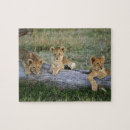 Search for kenya puzzles Panthera leo