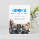 Search for cool cat birthday invitations Cats