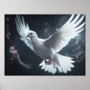 Search for white dove peace posters Birds