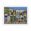 Search for north carolina magnets travel