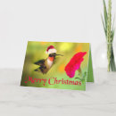 Search for hummingbird christmas cards Xmas