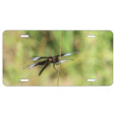 Search for dragonfly license plates Nature