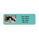 Search for black cat return address labels Animal lover