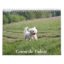Search for coton de tulear gifts Dog
