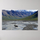Search for vintage reindeer art Background