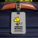 Search for travel accessories Cartoon