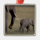 Search for africa ornaments Elephant