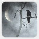 Search for crow stickers Bird