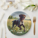 Search for german shorthaired pointer crafts party Cute