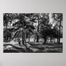 Search for black and white landscape posters Park