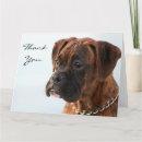 Search for boxer dog thank you cards Thanks