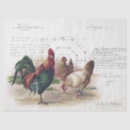 Search for farmhouse decoupage paper Rooster