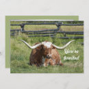 Search for texas longhorn invitations Cow