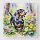 Search for dachshund clocks Watercolor